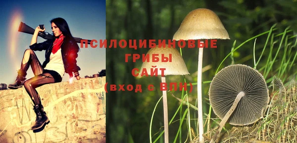 СК Нея