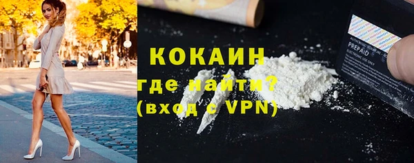 сатива Новокубанск