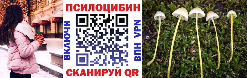 Псилоцибиновые грибы MAGIC MUSHROOMS OMG рабочий сайт Нижние Серги